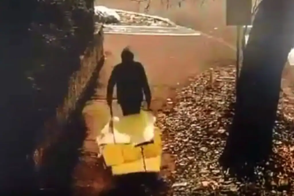 VIDEO Cu gluga pe cap, a aruncat o roaba de gunoi la coltul strazii, la Timisoara