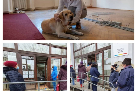 Primarul Fritz vrea patrupedele în blocuri și bipezii în stradă, la coadă la indemnizații