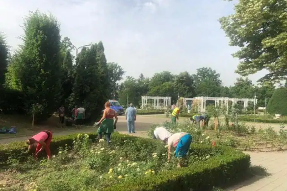 În plină iarnă! Administrația Dominic Fritz a pompat sute de tone de apă la rădăcinile firmelor liberale și le-a mai plivit și trandafirii