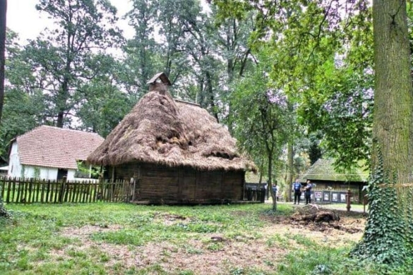 Timișoara devine mai atractivă ca destinație de city break! Consiliul Județean a introdus biletul unic pentru muzeele din subordine