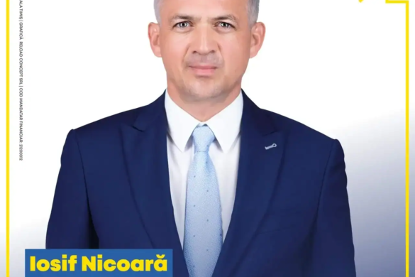 Șeful de cabinet al președintelui CJ Timiș are urgent nevoie de cursuri de gramatică și de limba română