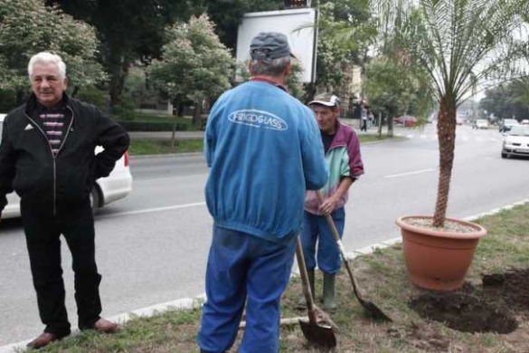 Andrei Drăgilă, demis de la Horticultura! A condus societatea 30 de ani
