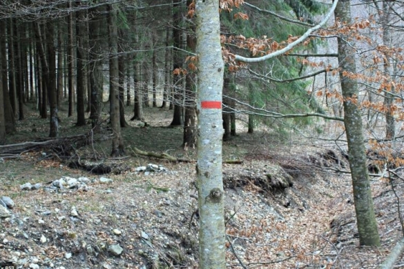 Consiliul Județean Timiș propune înființarea unui serviciu public de salvamont! Traseele și obiectivele turistice montane vor fi marcate și puse în siguranță