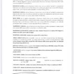schema de camatarie chirurgii Kamal Al Barri si Razvan Tirziu4