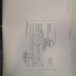 Testamentul semnat de pediatrul Tatieana Adam5