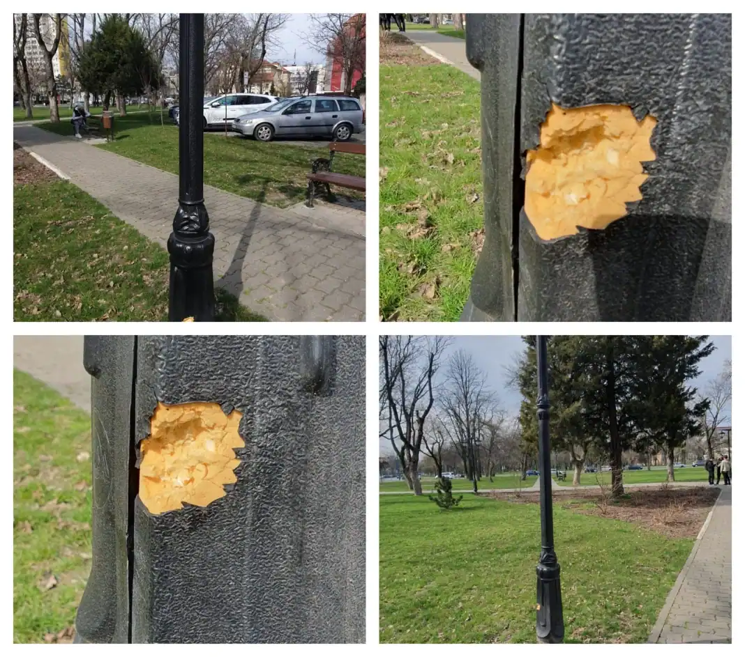 Sobolanii din Parcul Civic jpg