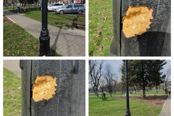Iron man! Șobolanii din Parcul Civic au ros stâlpii de oțel de la felinarele plantate sub nasul și pe semnătura administrației Dominic Fritz
