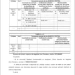 Agentia Nationala de Integritate acuza Primaria Giroc de minciuna si tainuire12