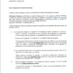Primaria Timisoara a scos la mezat achizitionarea a 33 de firobuze02