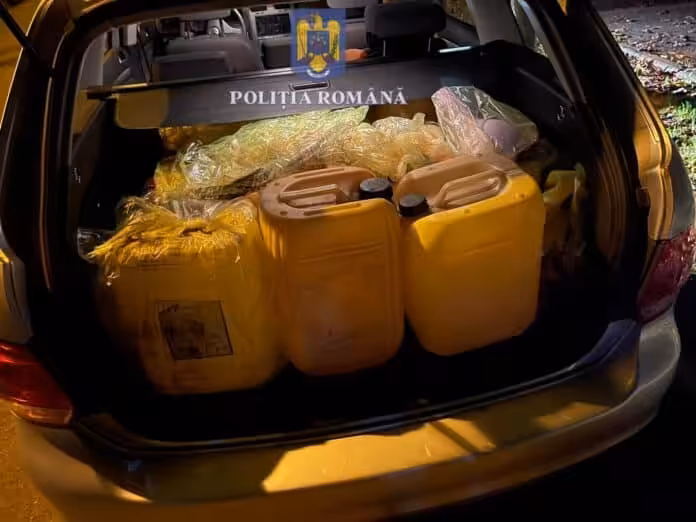 13 persoane reținute pentru furt de combustibil în Timișoara 13 persoane reținute pentru furt de combustibil în Timișoara