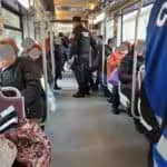 Poliția Locală Timișoara intensifică controalele în transportul public3