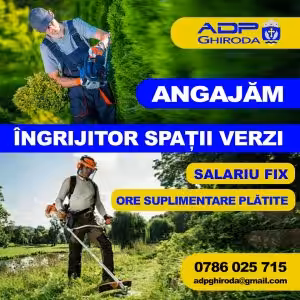 ADP Ghiroda – informații și servicii publice locale