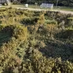 Dominic Fritz distruge Parcul Rozelor 2