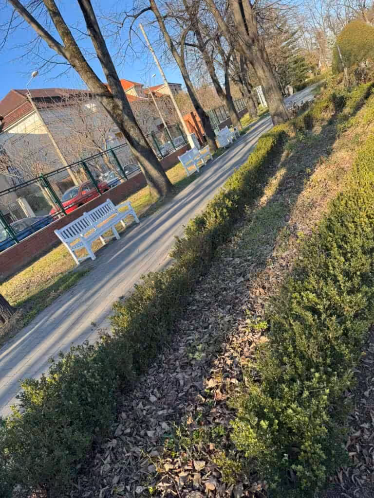 Dominic Fritz distruge Parcul Rozelor în numele „biodiversității”. Sub pretext ecologist, administrația USR lasă orașul în paragină