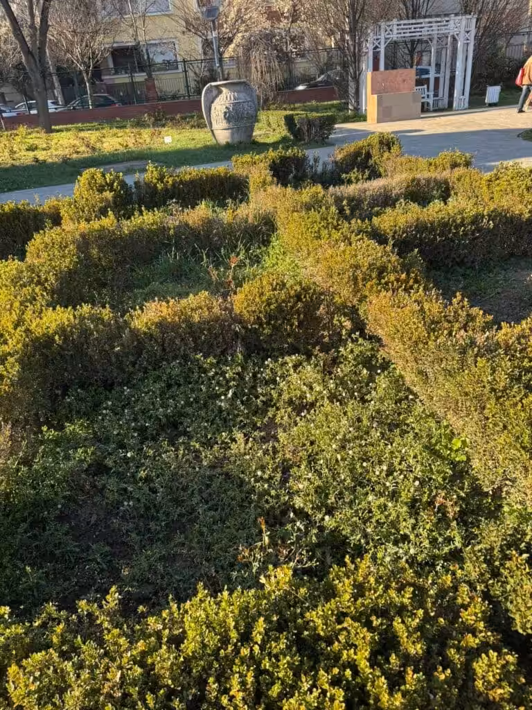 Dominic Fritz distruge Parcul Rozelor în numele „biodiversității”. Sub pretext ecologist, administrația USR lasă orașul în paragină