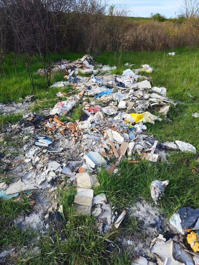 Poliția Locală Moșnița Nouă avertizează: Amenzi de până la 6.000 de lei pentru terenurile neîngrijite