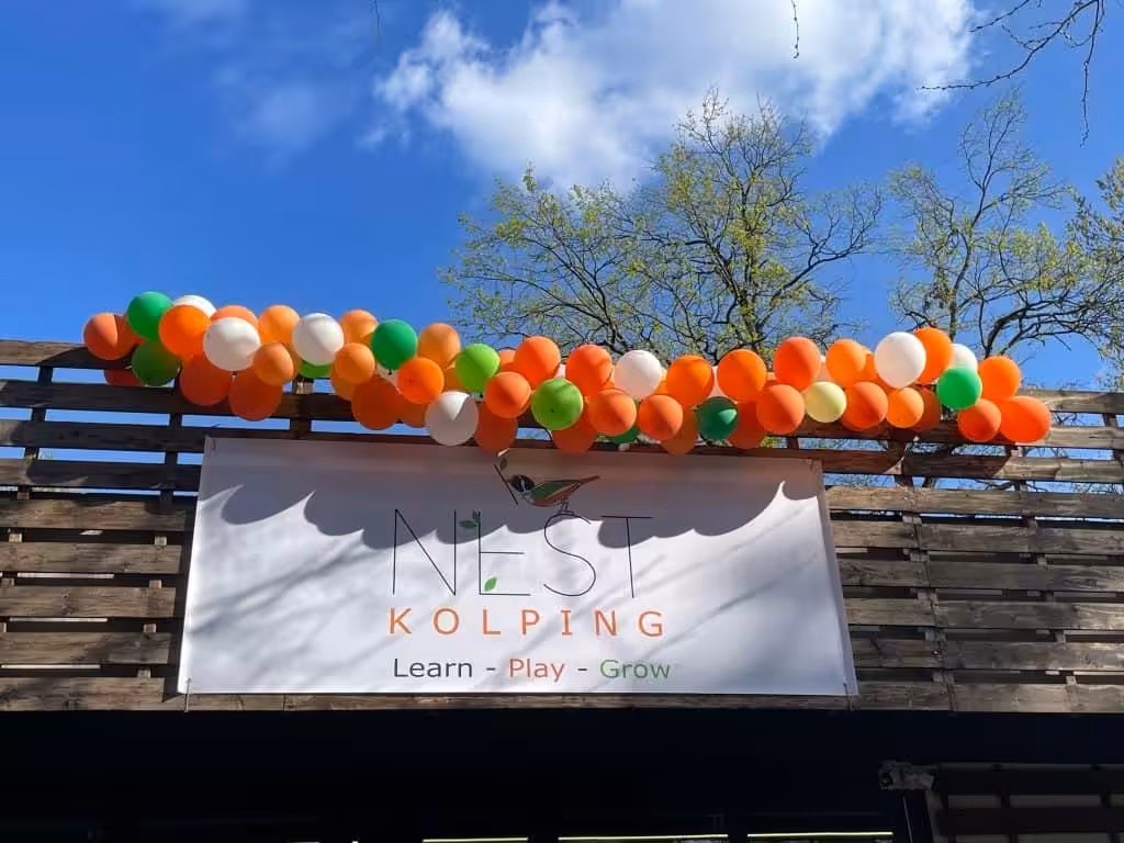 Casa de Sticlă și Orașul de Hârtie: Prioritățile absurde ale administrației Fritz