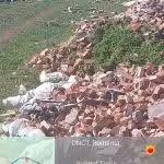 Deșeuri aruncate ilegal în Timiș3