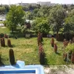DCIM100MEDIADJI_0332.JPG