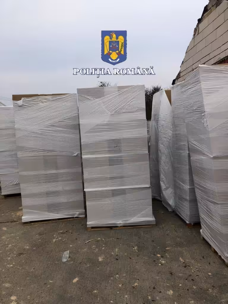 Rețea de contrabandiști, descoperită în flagrant lângă Timișoara: țigări de peste 4,7 milioane de lei abandonate pe câmp