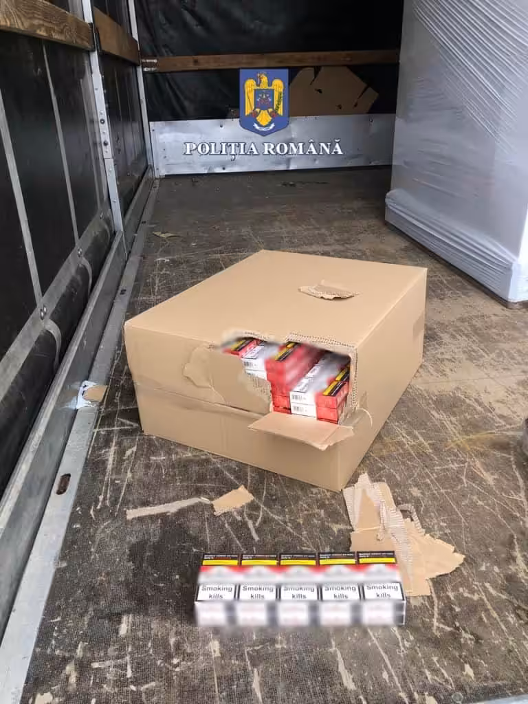 Rețea de contrabandiști, descoperită în flagrant lângă Timișoara: țigări de peste 4,7 milioane de lei abandonate pe câmp