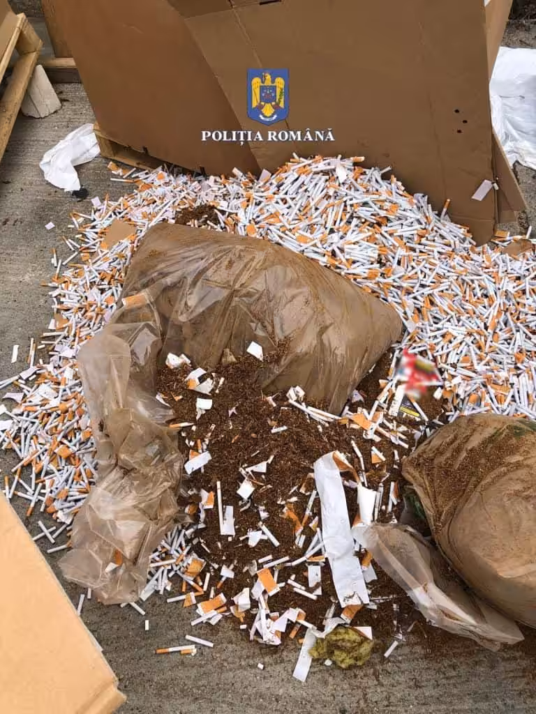Rețea de contrabandiști, descoperită în flagrant lângă Timișoara: țigări de peste 4,7 milioane de lei abandonate pe câmp