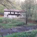 Tabăra școlară de la Nădrag3