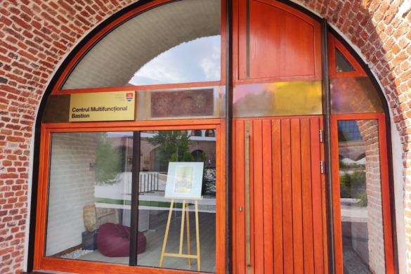 Săptămână plină de evenimente culturale în Timiș: expoziții, concerte și spectacole, între 14–20 iulie