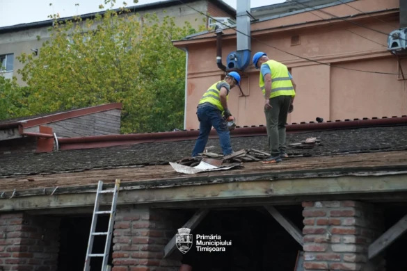 Demolare abuzivă la Dinar: administrația Fritz calcă cu buldozerul peste acte și cartea funciară