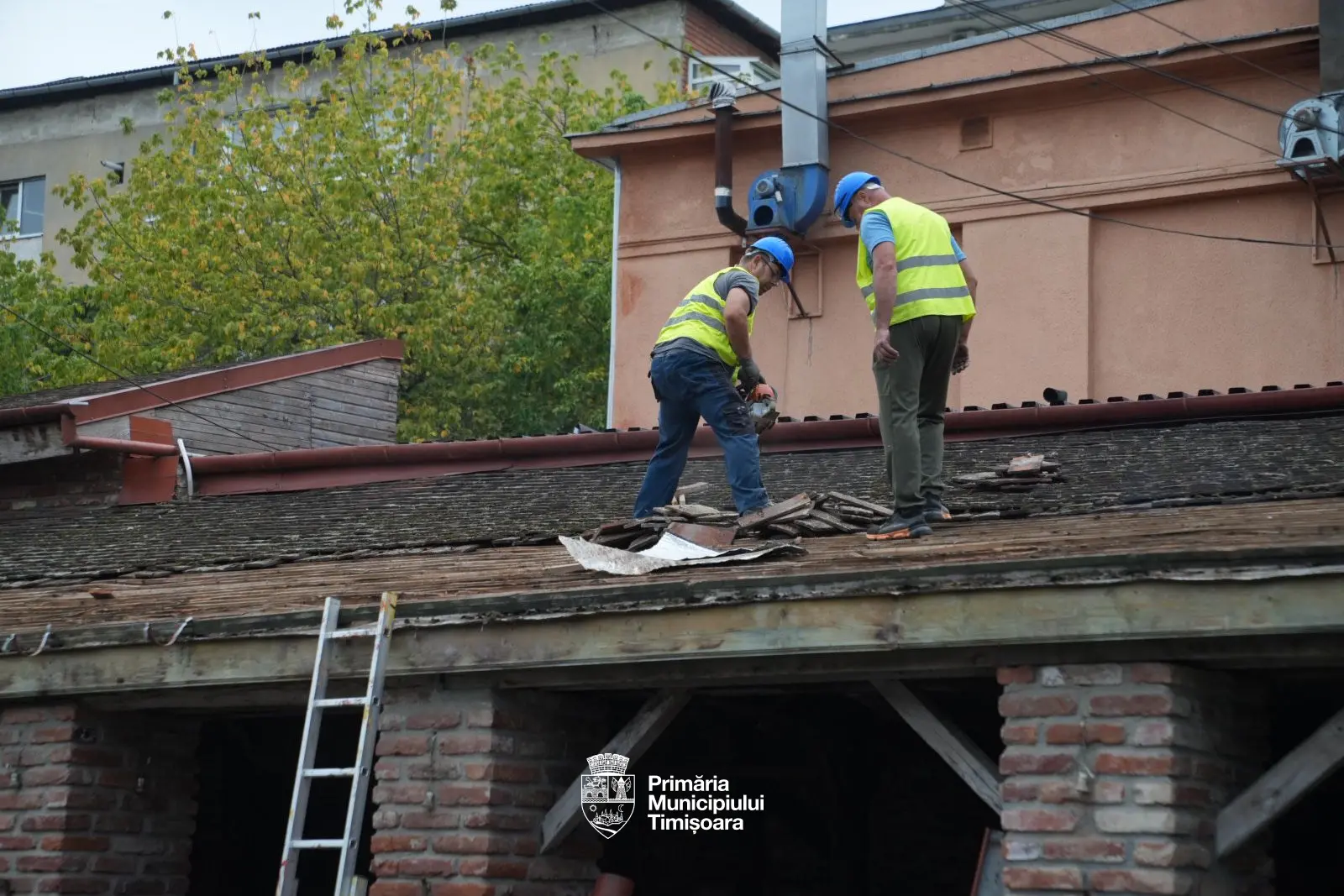 Demolare abuzivă la Dinar: administrația Fritz calcă cu buldozerul peste acte și cartea funciară