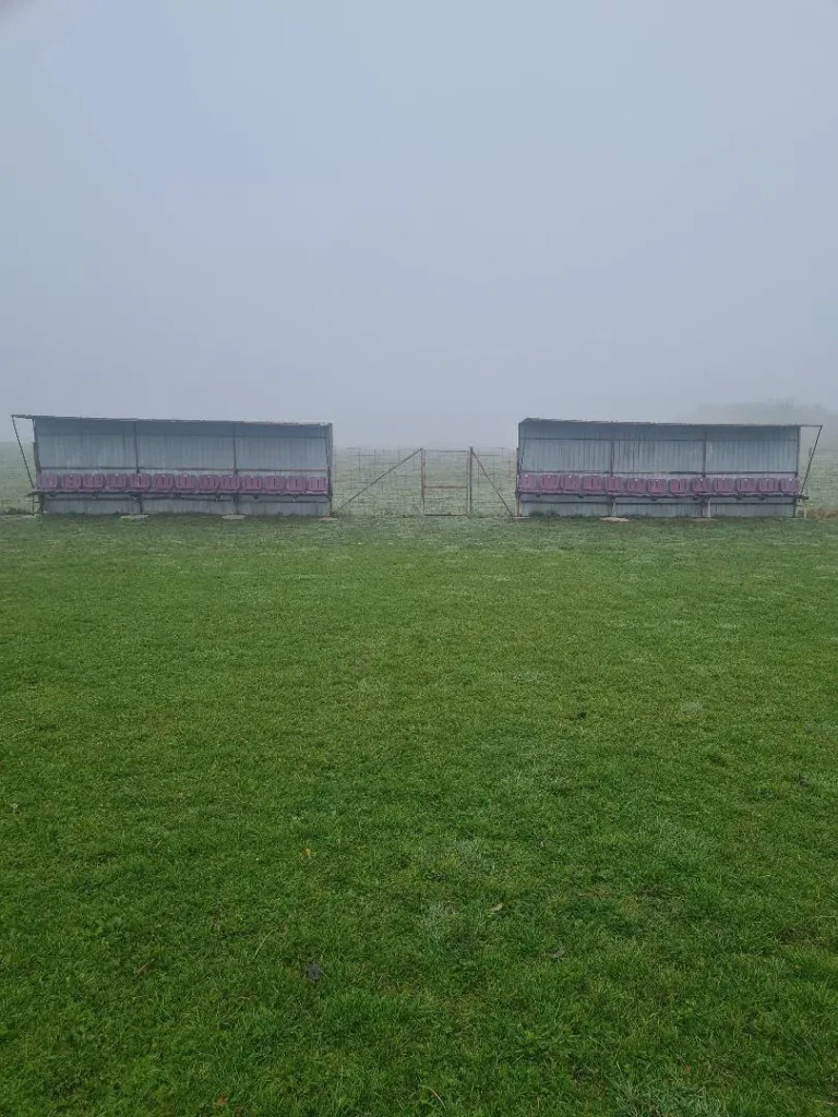 Demolarea stadionului Dan Păltinișanu-10