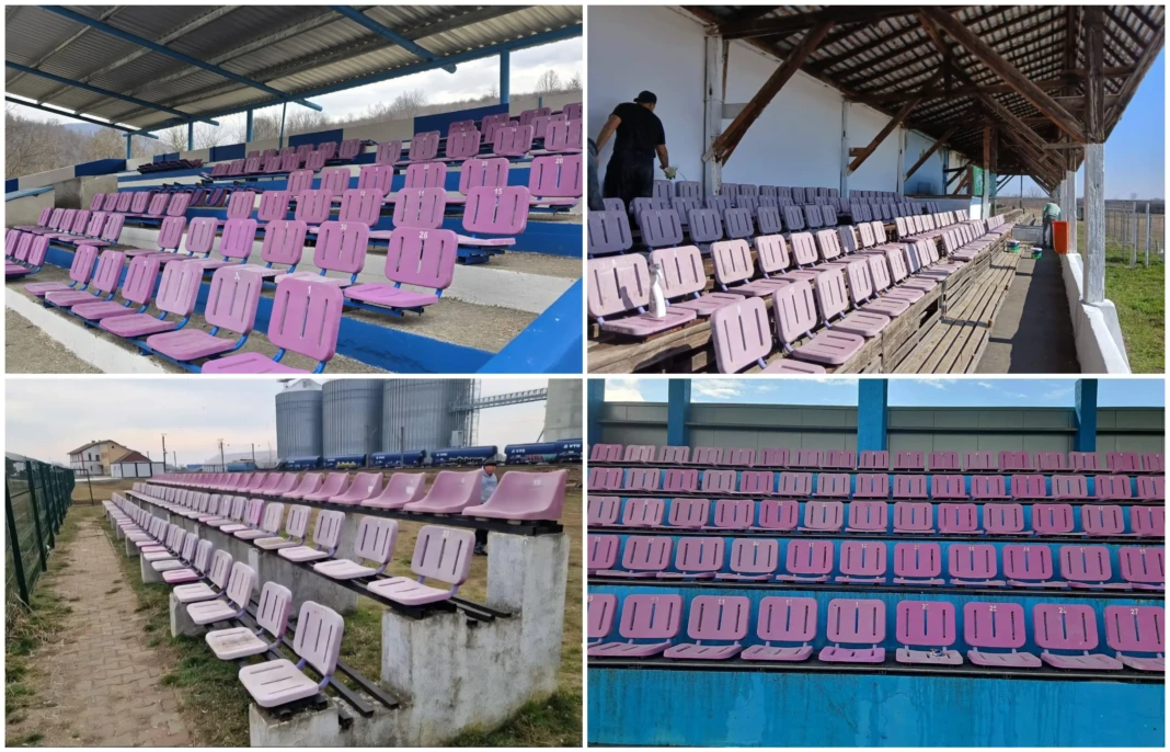 Demolarea stadionului Dan Păltinișanu