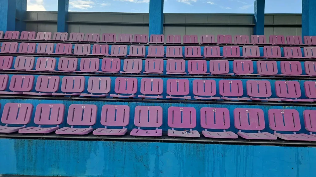 Demolarea stadionului Dan Păltinișanu-13