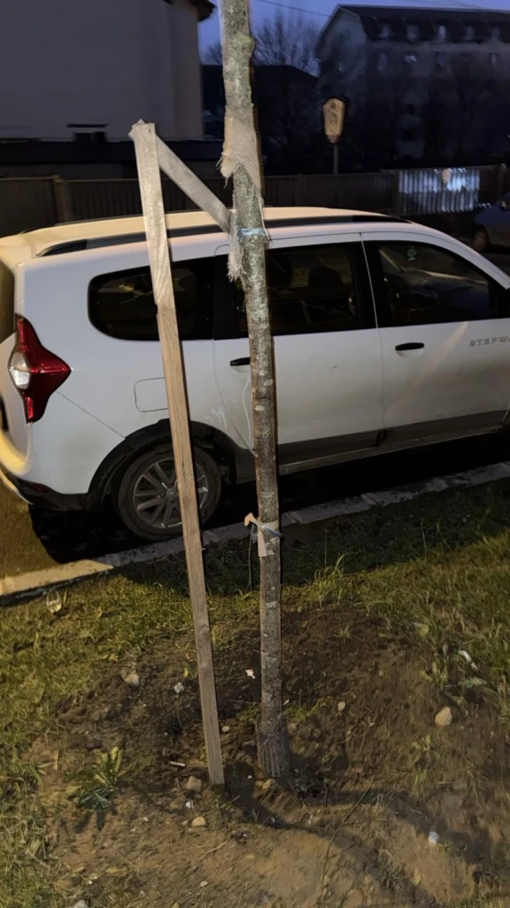 Bătut în Complexul Studențesc și trimis la spital. Poliția vorbește de „conflict spontan”, clubul ridică din umeri