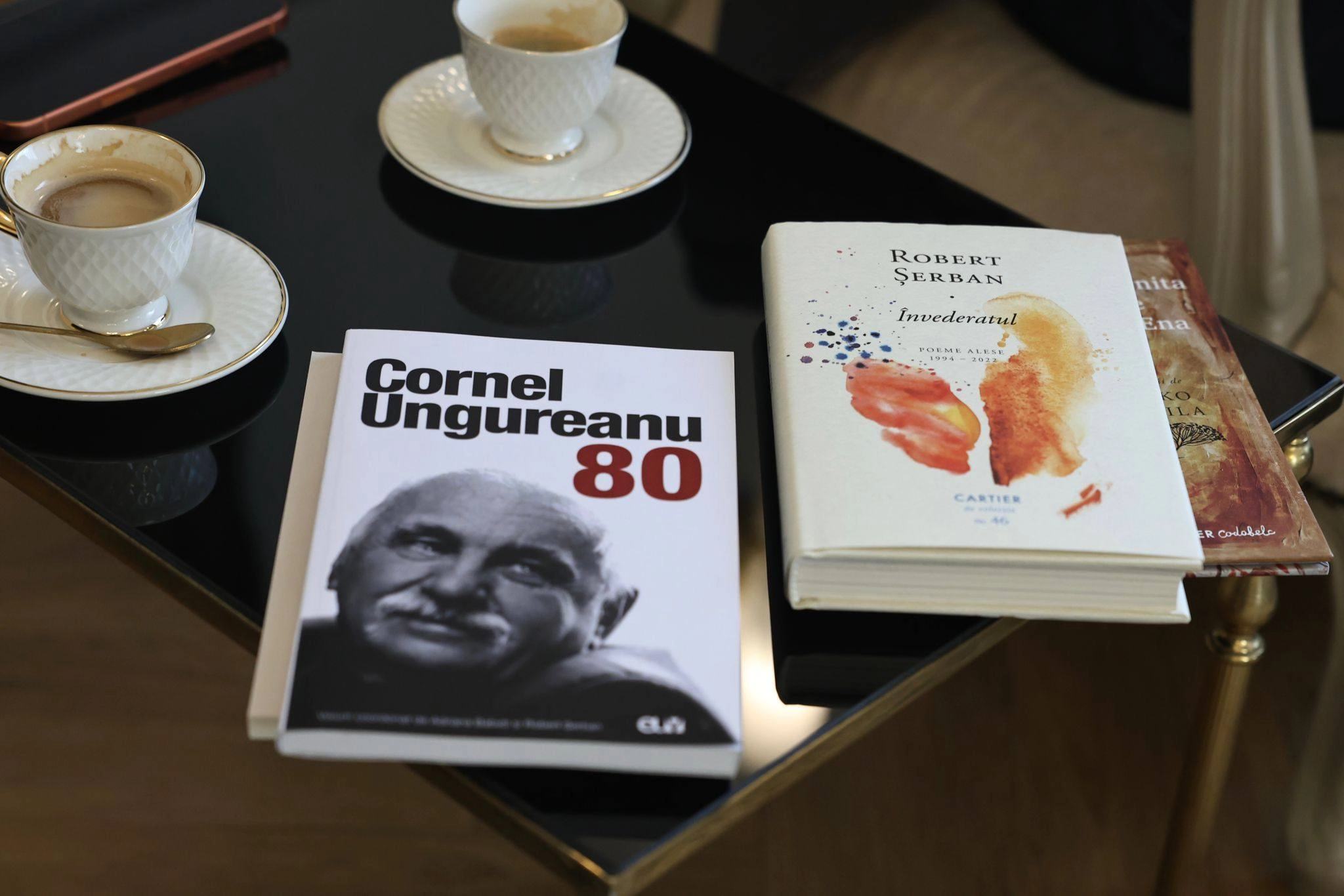 Investiții în cultură la Timiș, reabilitarea Casei Memoriale Franyo Zoltan și proiecte culturale majore