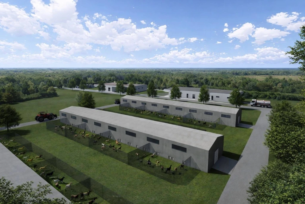 CJ Timiș anunță primul adăpost județean pentru animale. Proiectul va fi construit la Grabaț