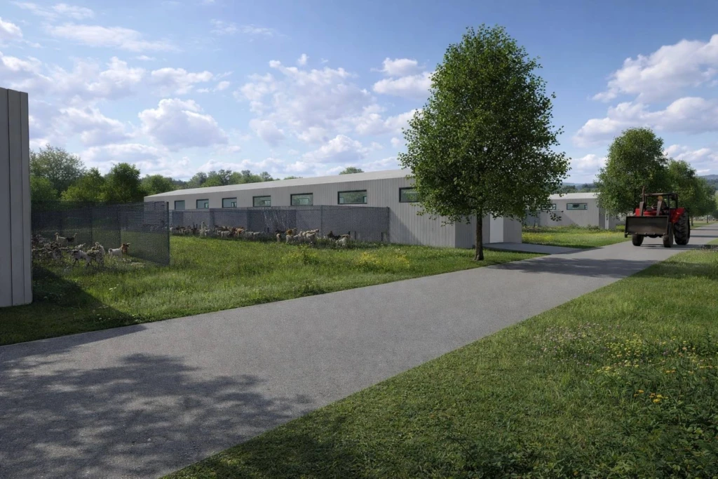 CJ Timiș anunță primul adăpost județean pentru animale. Proiectul va fi construit la Grabaț