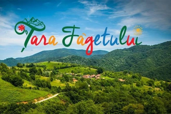 Țara Făgetului primește noi zone de popas pentru turiști. Investițiile vizează una dintre cele mai spectaculoase regiuni ale Timișului