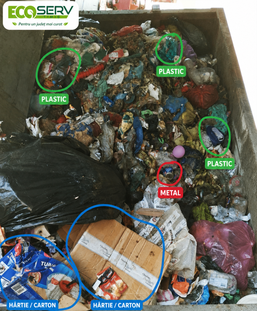 Ambalaje curate pentru reciclare – recomandări ECO SERV Timiș