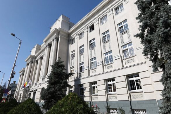 CJ Timiș pune în dezbatere ghidurile de finanțare a sportului pentru 2027
