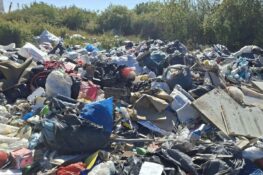 45 de amenzi de 496.500 de lei pentru abandonarea deșeurilor în Timișoara