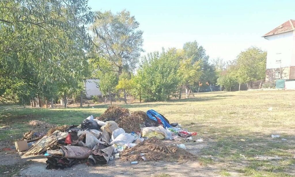 Deșeuri și resturi vegetale abandonate pe un spațiu verde, lângă case