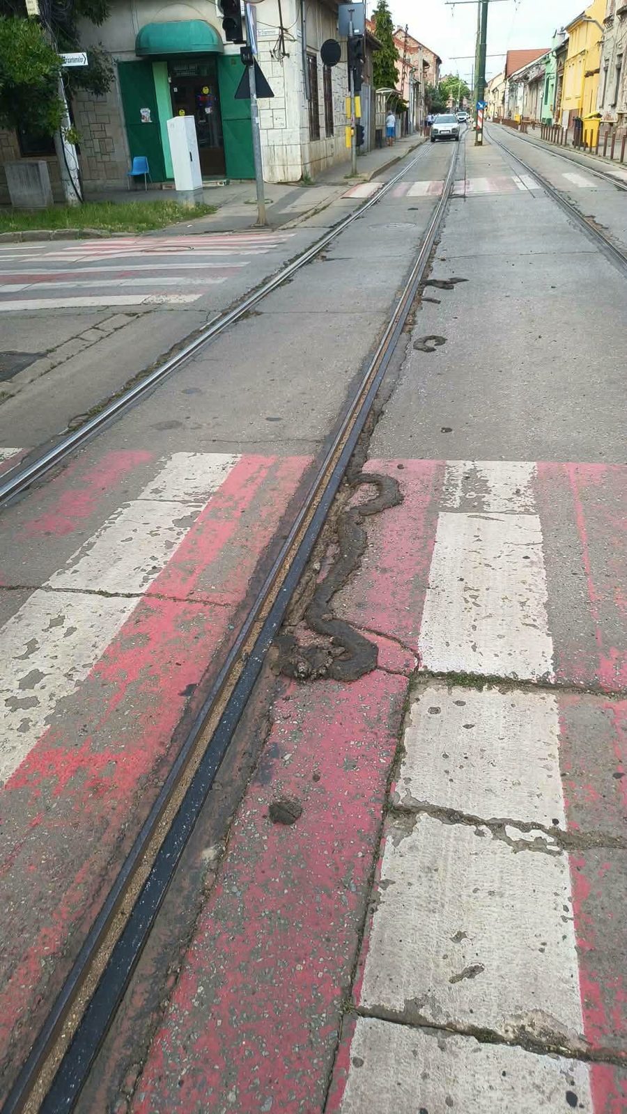 Mastic ieșit de lângă șinele de tramvai, la o trecere de pietoni din Timișoara